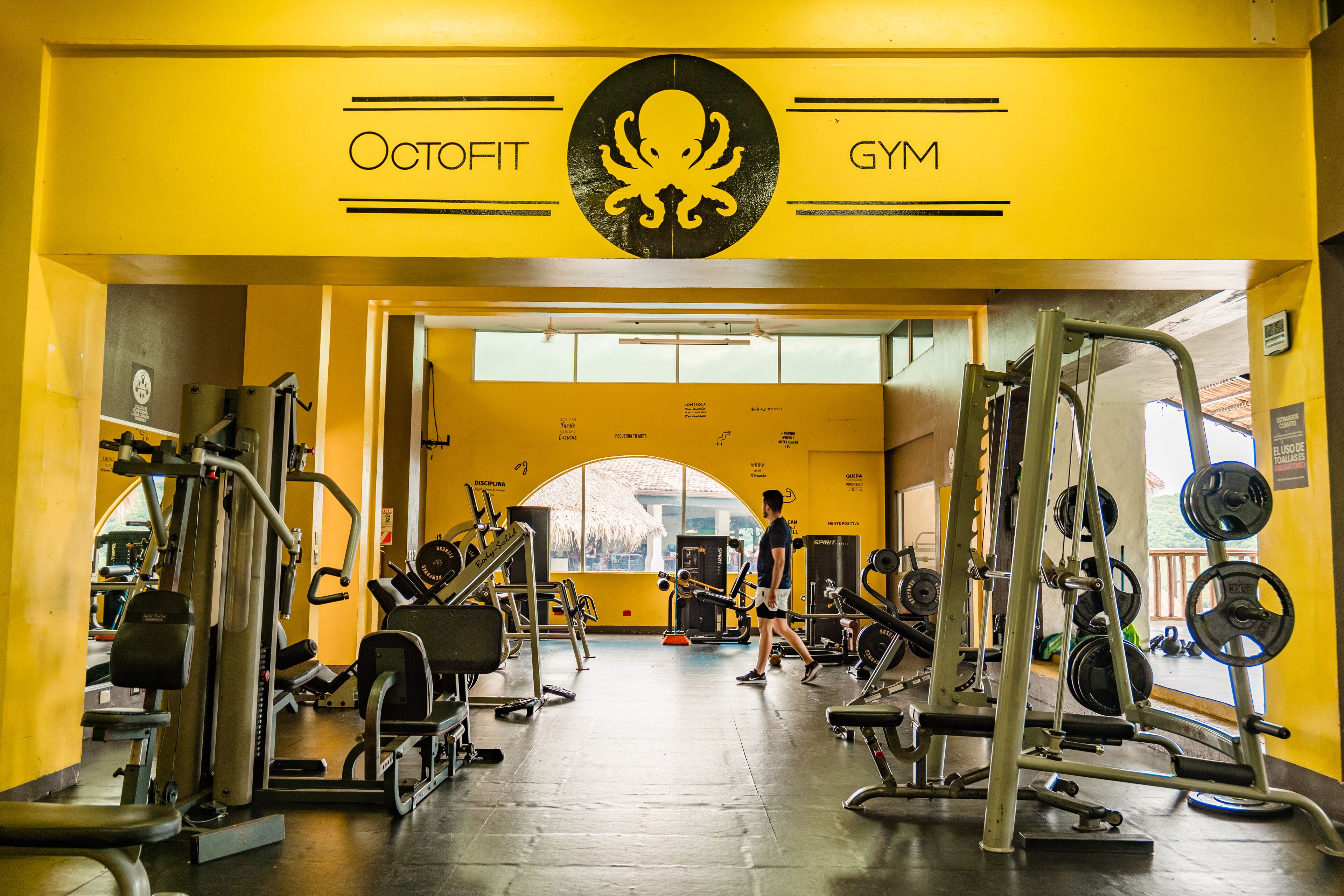 Uma academia com diversos equipamentos de exercício, um grande logotipo de polvo na parede e vista para o exterior através de grandes janelas.