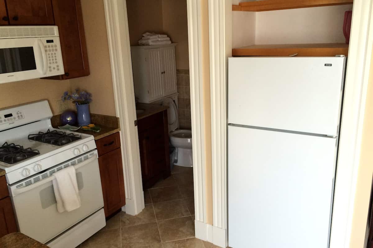 premier suite, 1 king bed | private kitchen | mini-fridge, coffee/tea maker, high chair