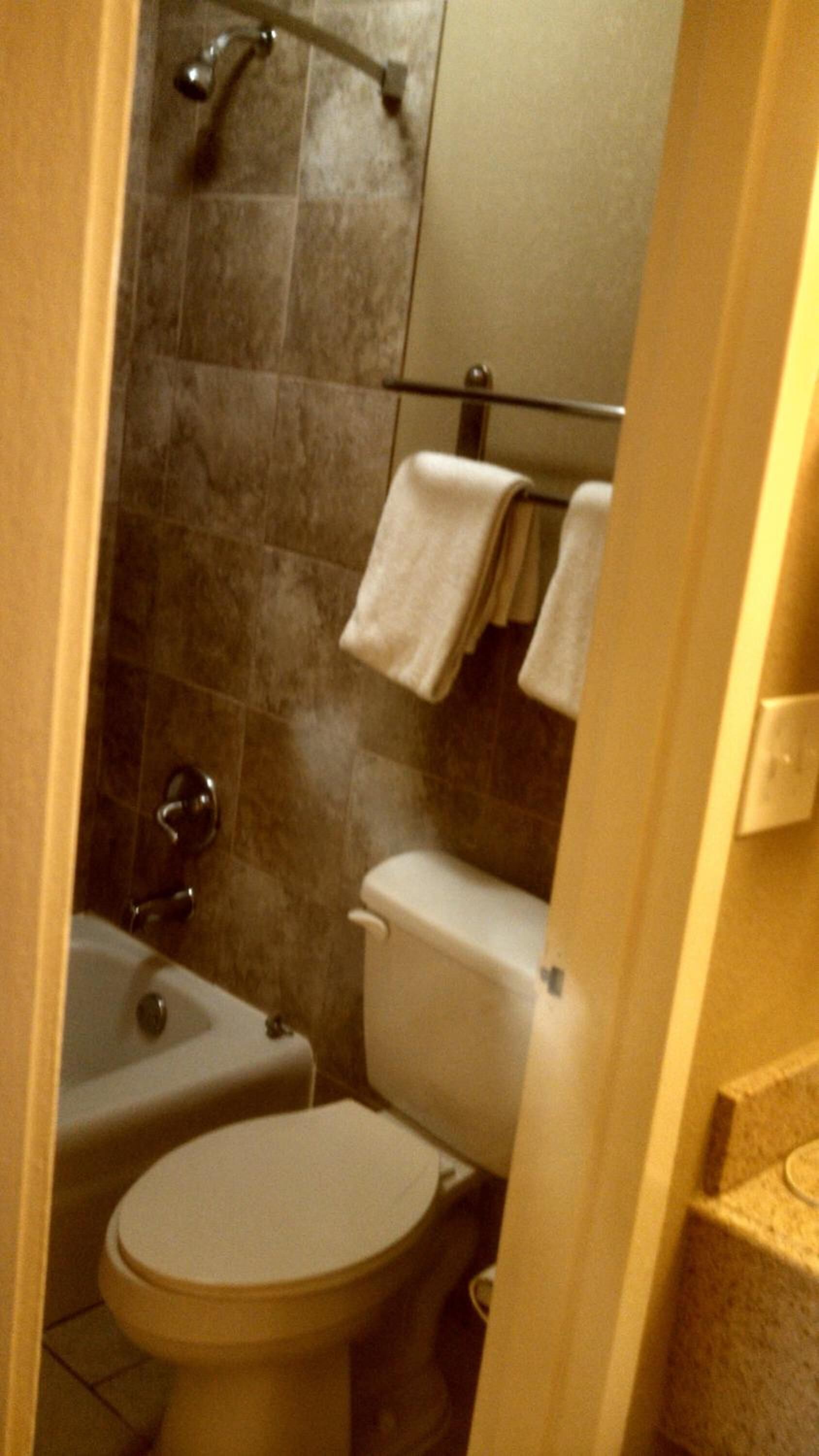 Un bagno piccolo con il water, una doccia e una vasca.