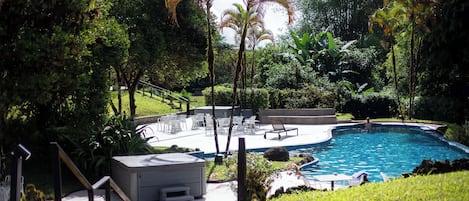 Una piscina al aire libre, sombrillas, sillones reclinables de piscina