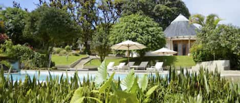 Un espace piscine agrémenté de chaises longues et de parasols, entouré d’une végétation luxuriante et bordé d’un bâtiment au toit de chaume.