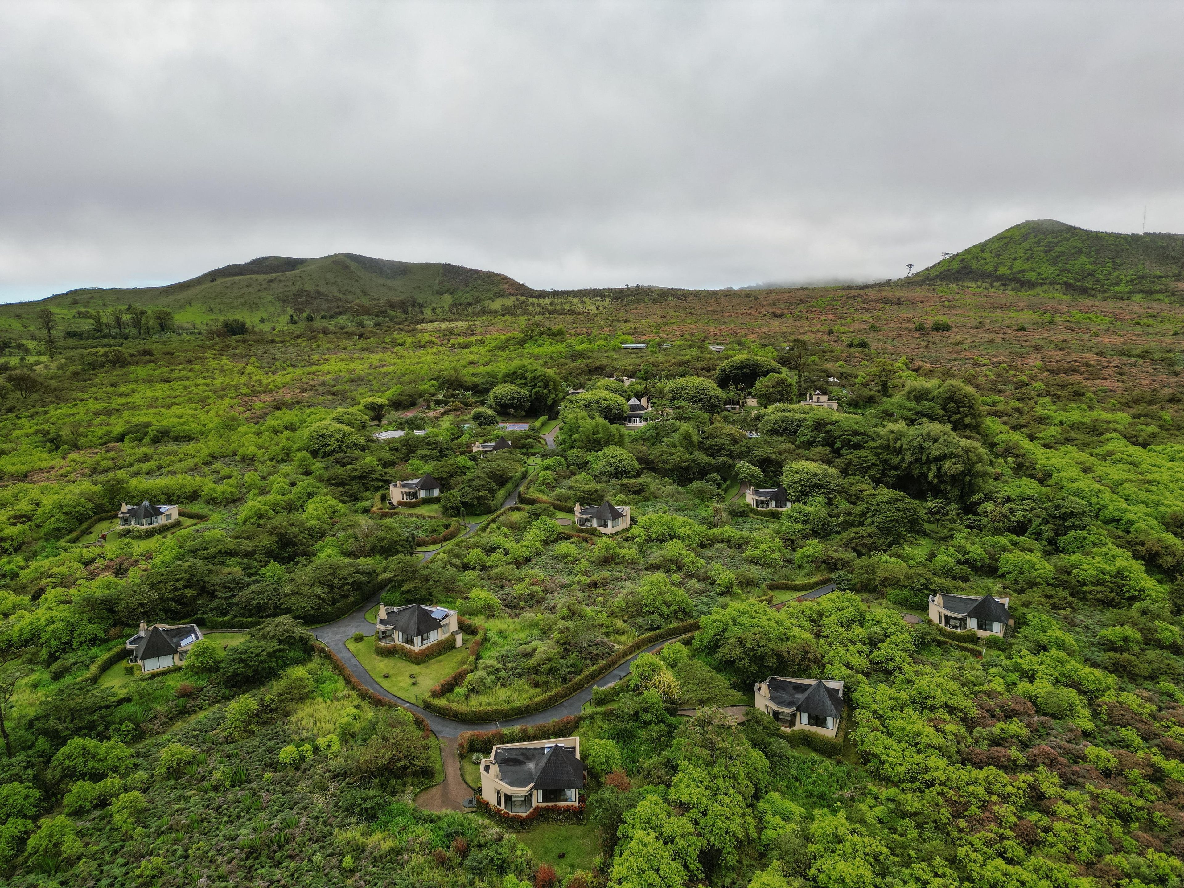 Un groupe de maisons regroupées sur une colline verdoyante, avec des sentiers sinueux.