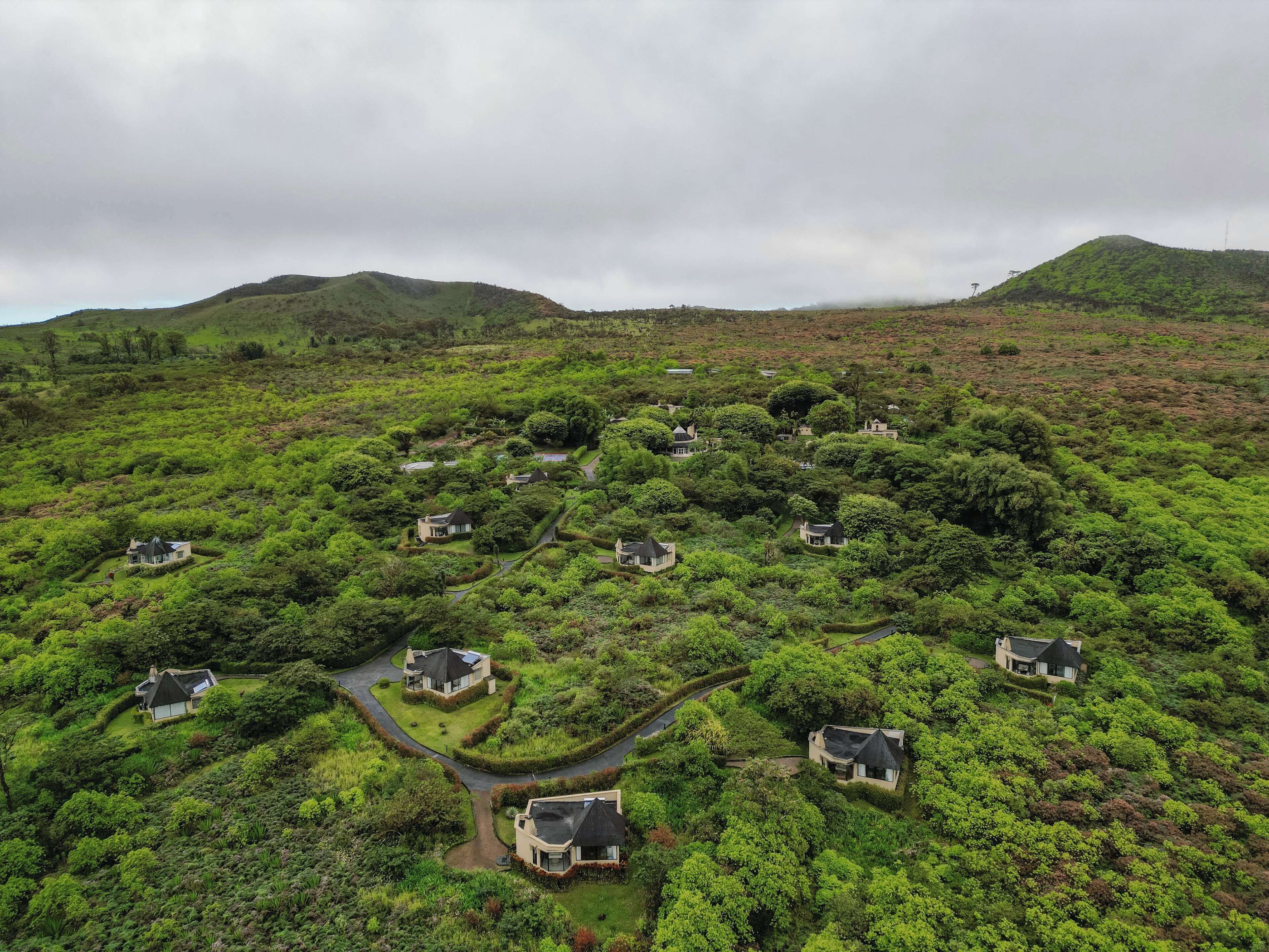 A cluster of houses nestled in a lush, green landscape with winding paths.