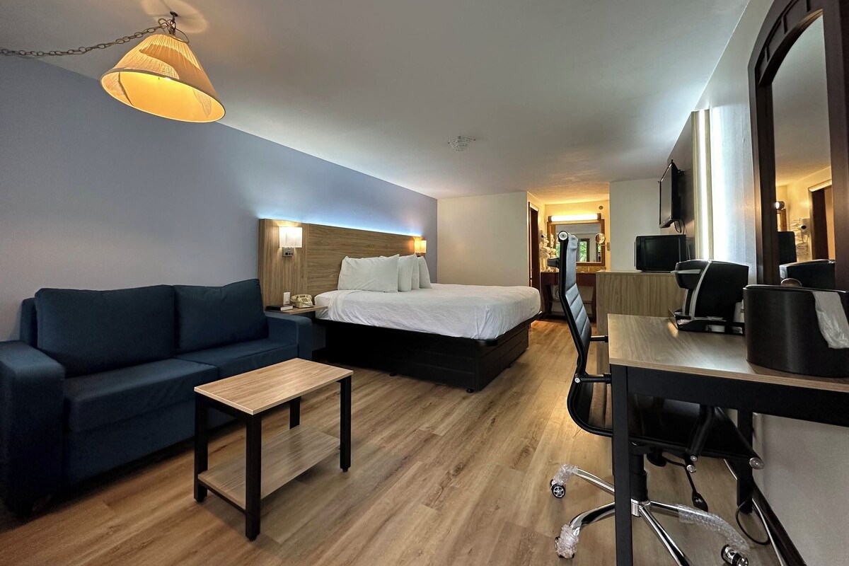 Una habitación de hotel con cama, escritorio, silla, sofá y lámpara.