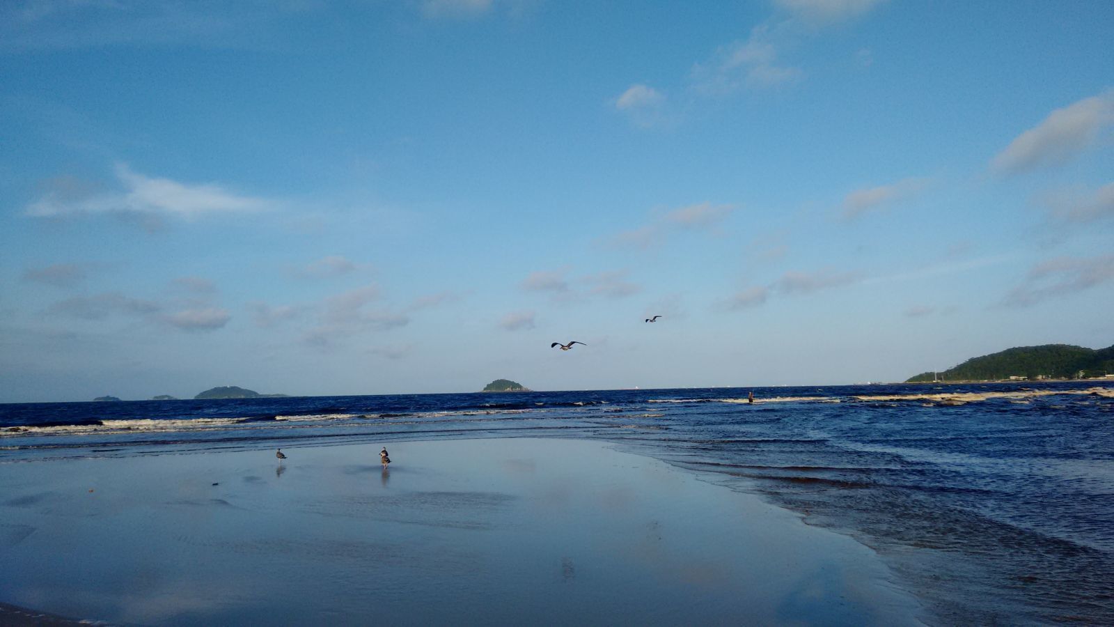 A beach with calm waters, a person walking, and birds flying.
