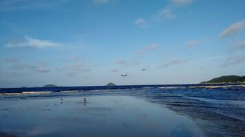 A beach with calm waters, a person walking, and birds flying.