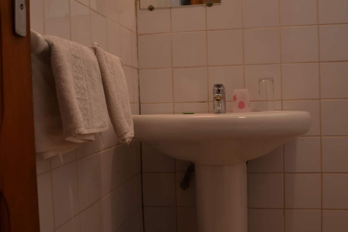 standard double room | bathroom | shower