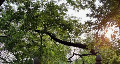 Plantation House Bed & Breakfast