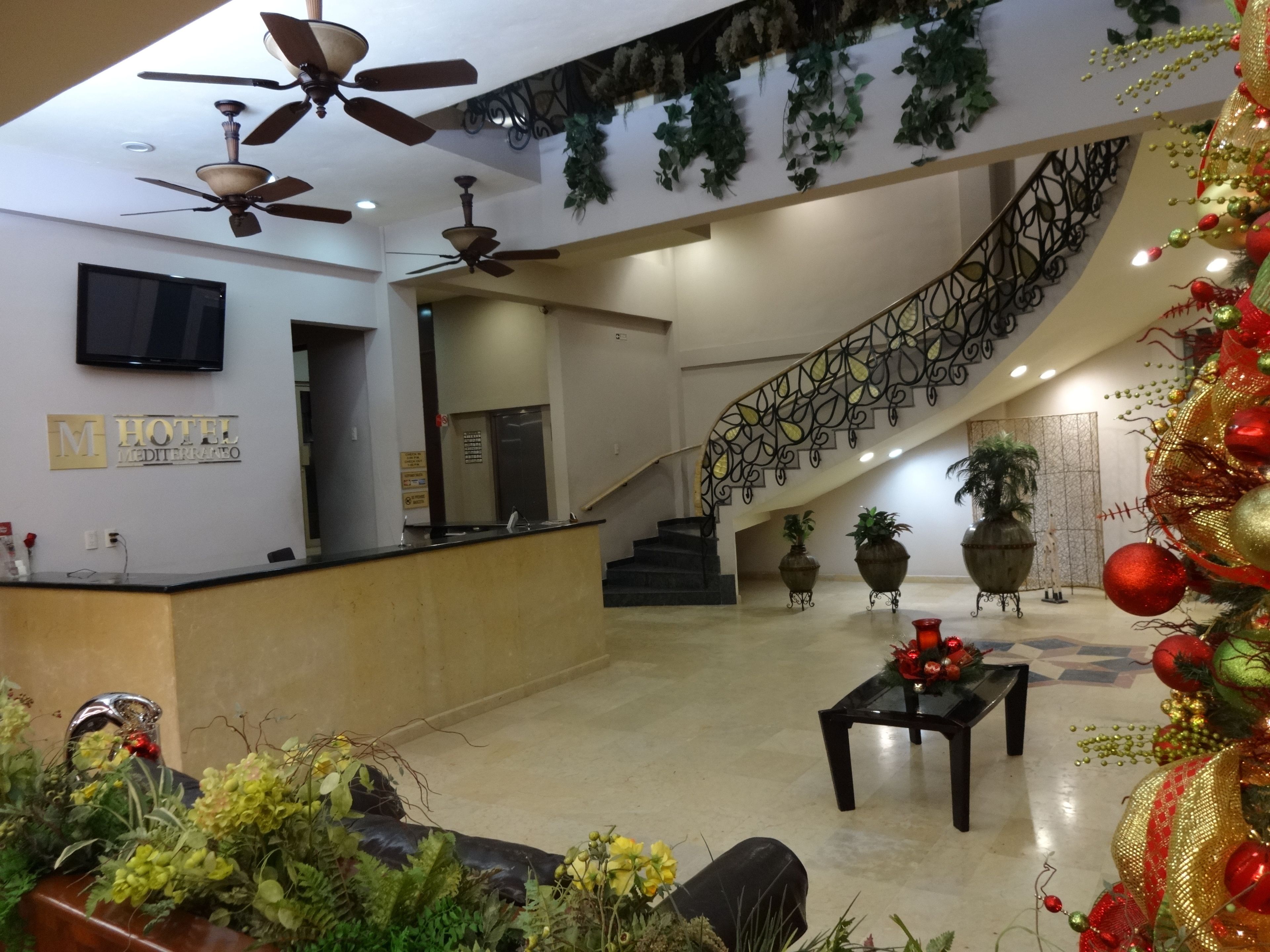 Foto - Hotel Mediterraneo