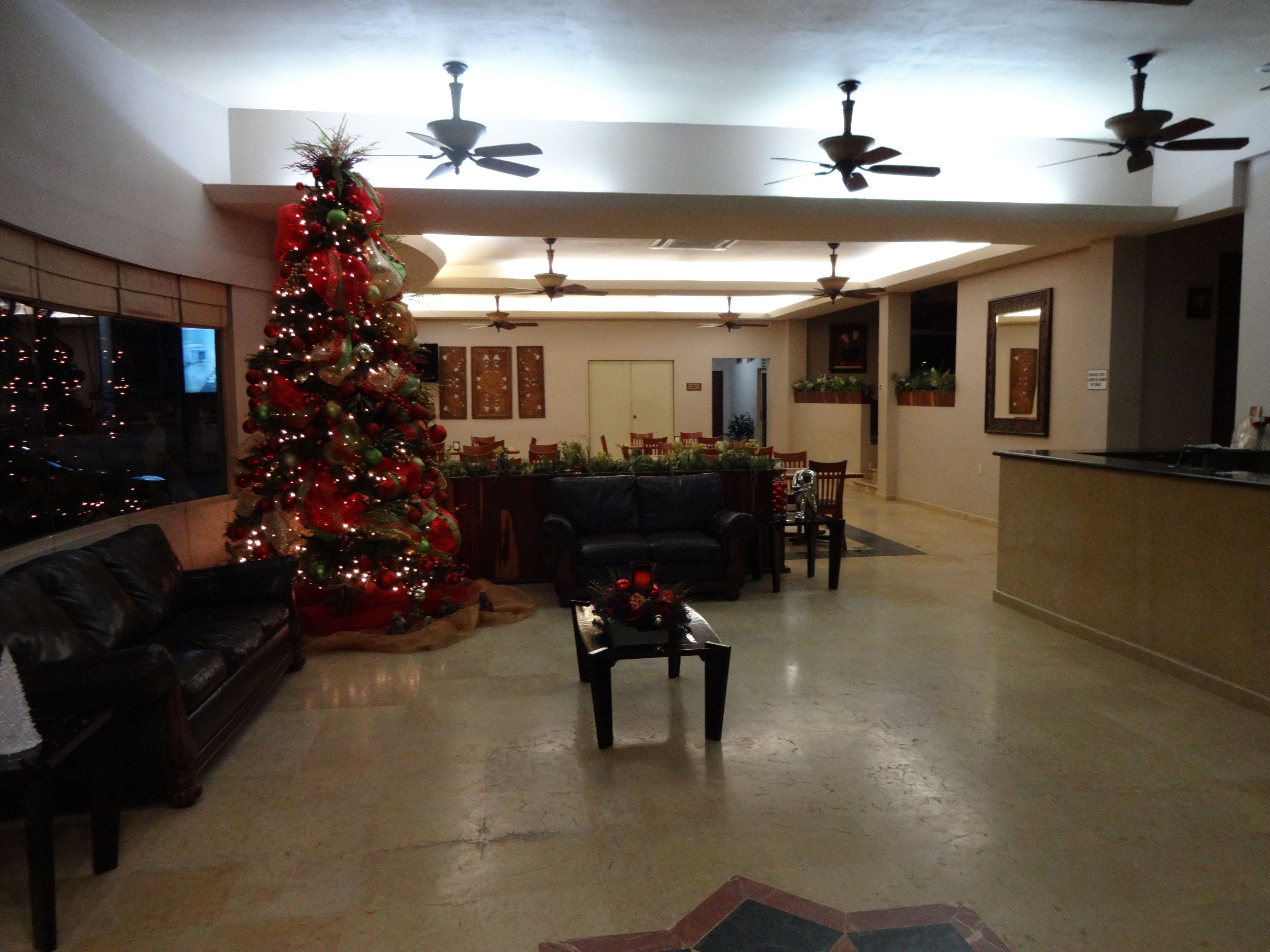 Foto - Hotel Mediterraneo