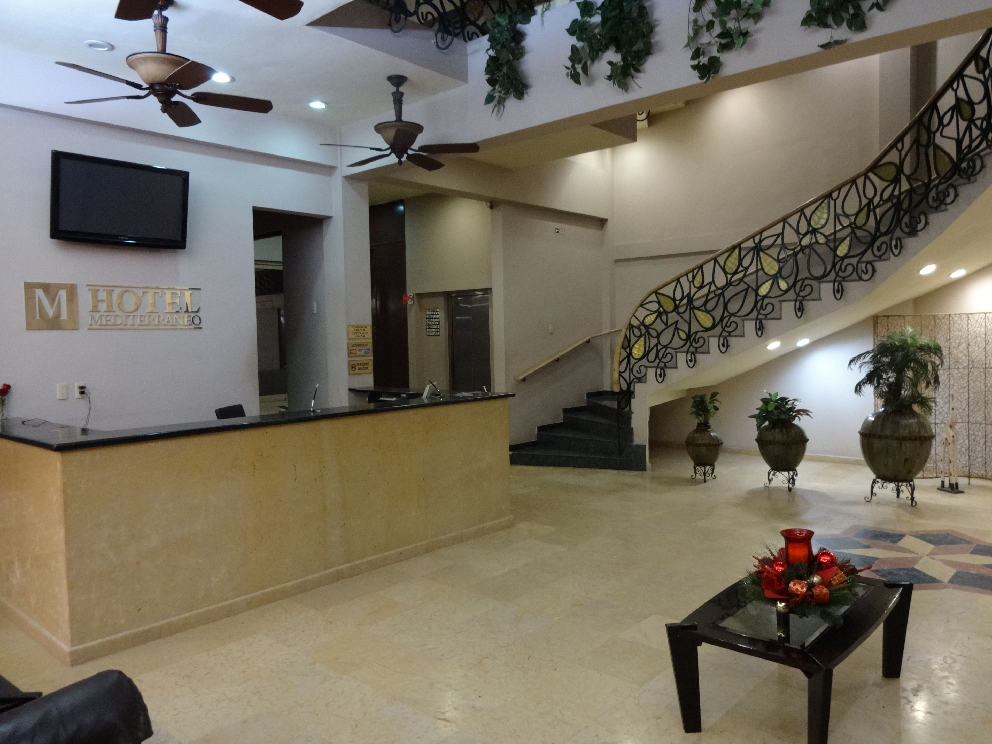 Foto - Hotel Mediterraneo