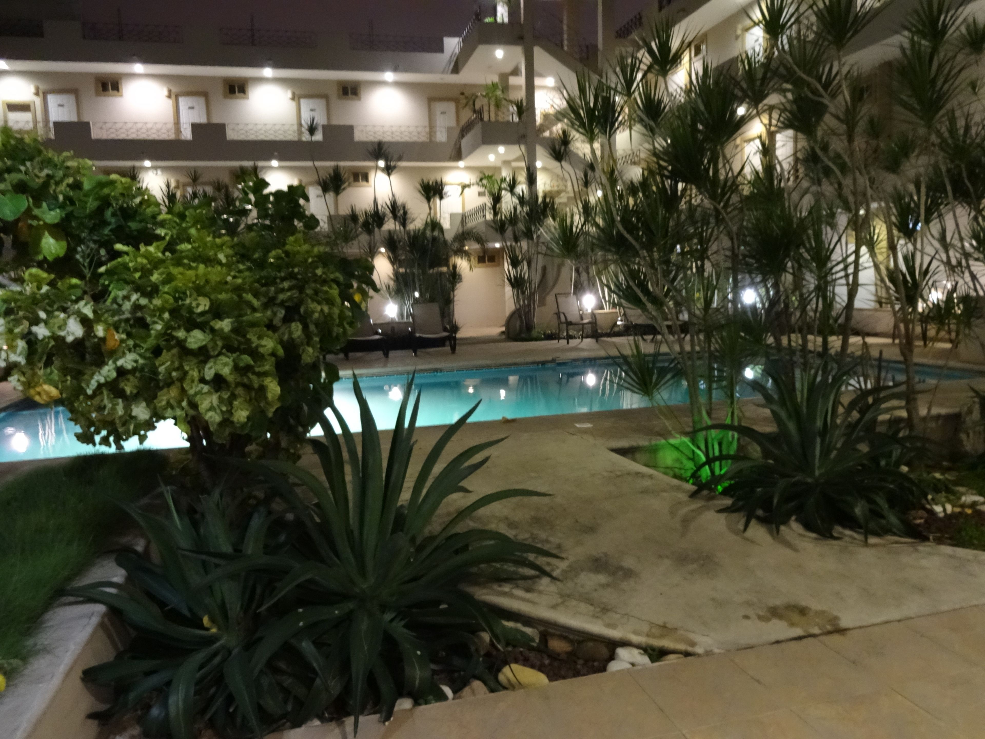 Foto - Hotel Mediterraneo