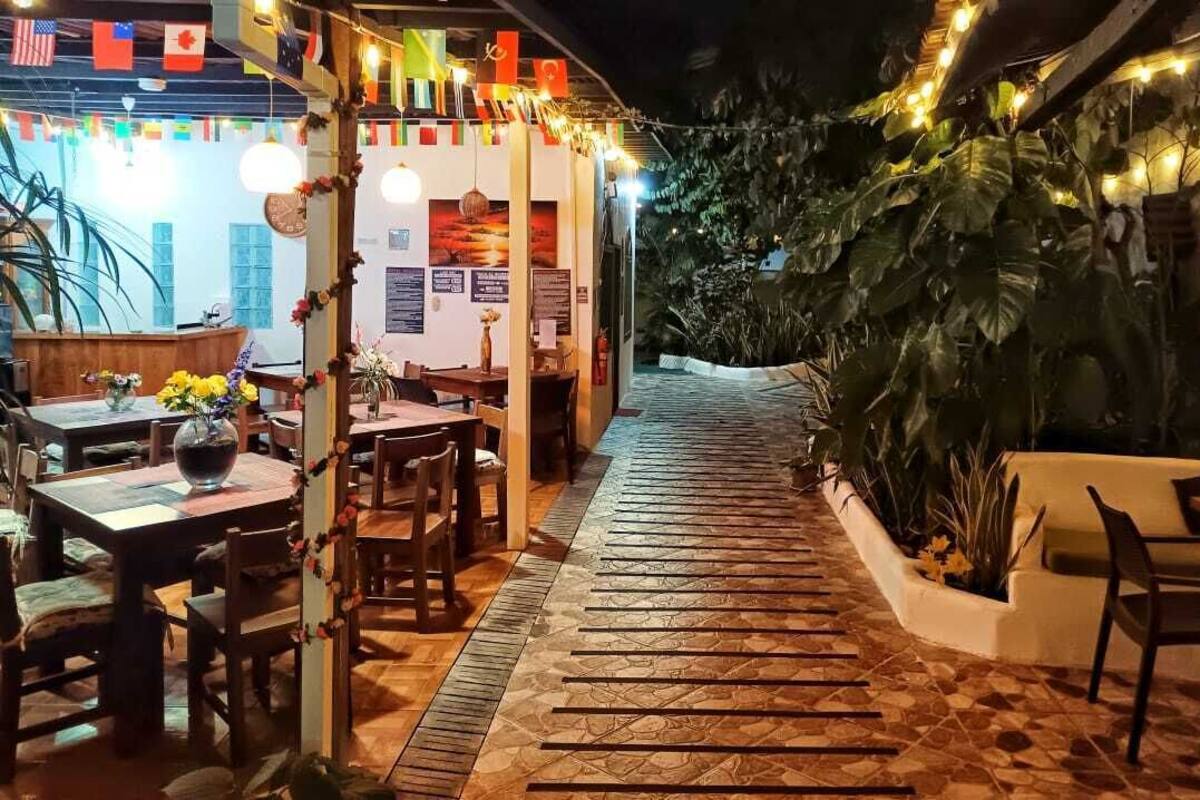 Un espace de restauration en plein air avec des tables et des chaises en bois, entouré de plantes et illuminé de guirlandes lumineuses.