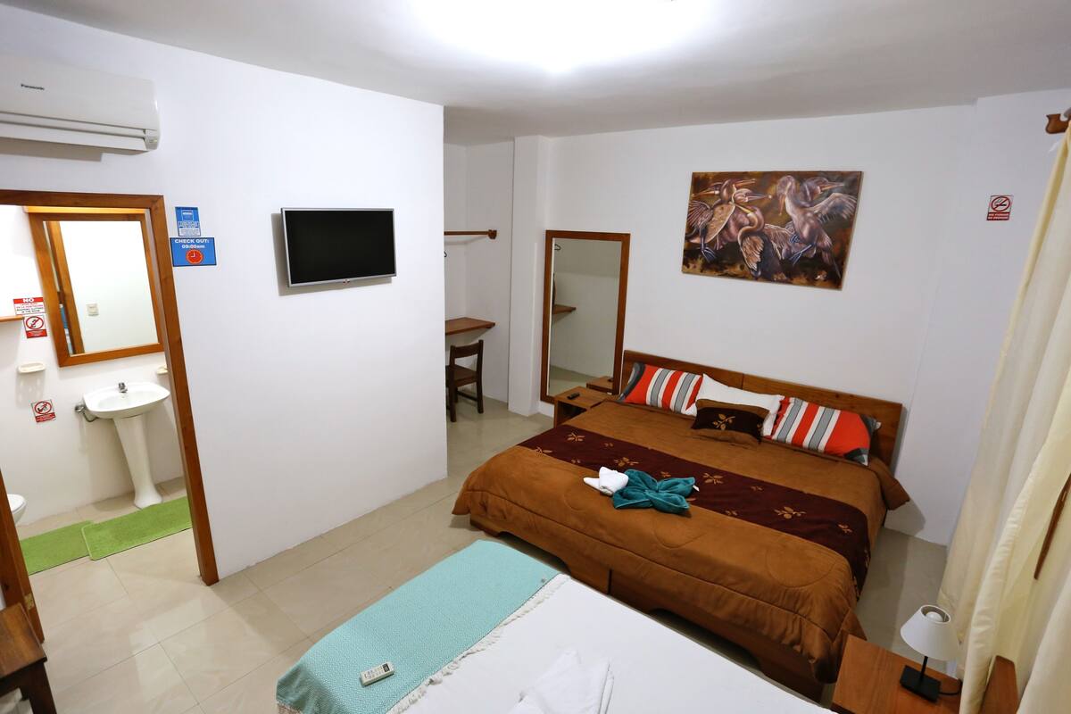 Une chambre d’hôtel avec un lit, une télévision, un lavabo et un miroir.