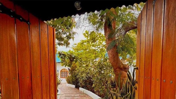 Um caminho de madeira leva a um edifício, rodeado por vegetação exuberante e uma parede branca.