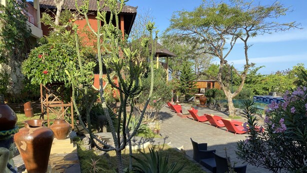 A courtyard with red lounge chairs, a small pool, and various plants. - Villa Anjing 2 (Nusa Dua)