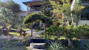 A garden with stone steps, potted plants, and a building with a balcony. - Villa Anjing 2 (Nusa Dua)