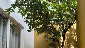 Un pequeño espacio al aire libre con dos sillas de mimbre y una mesa de madera, rodeado por un muro amarillo y un árbol.
