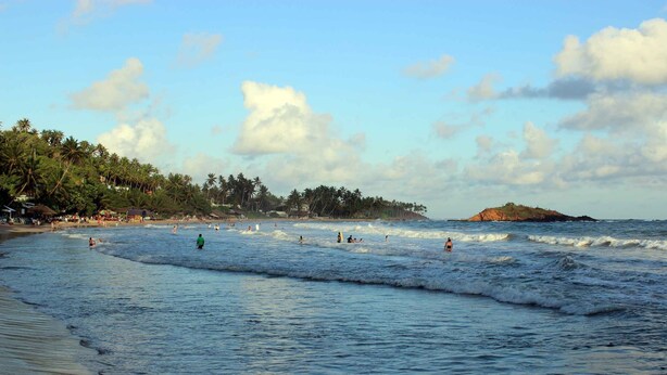 Una playa con gente nadando y practicando surf, palmeras y una isla distante.