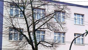 A building with multiple windows, a tree in front, and a sign on the door. - City-Pension Magdeburg (Magdeburg)