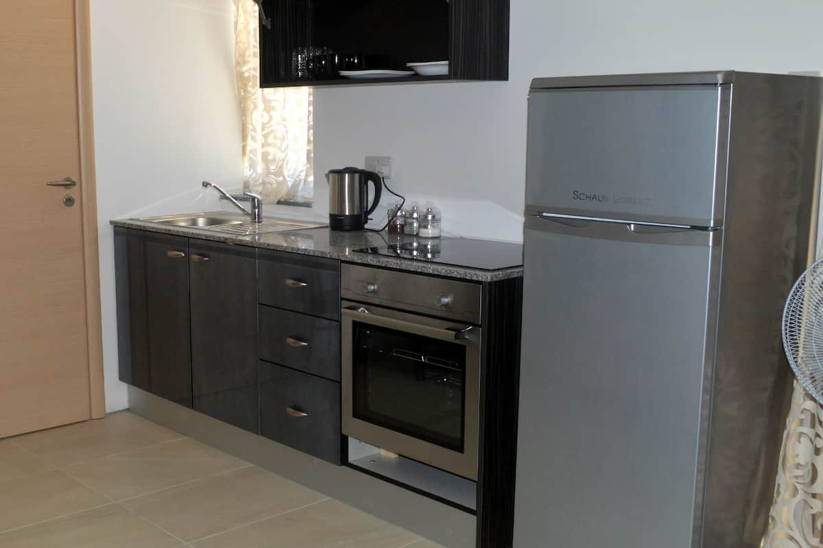 studio, terrace | private kitchenette | electric kettle