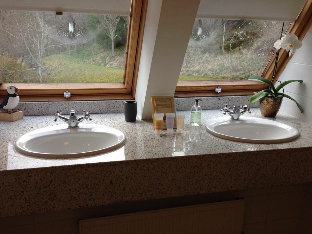 A bathroom with two sinks, a window, and a potted plant.