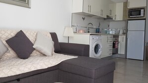 Un salon moderne avec un canapé gris, un lave-linge et un coin cuisine équipé de placards et d’appareils électroménagers.