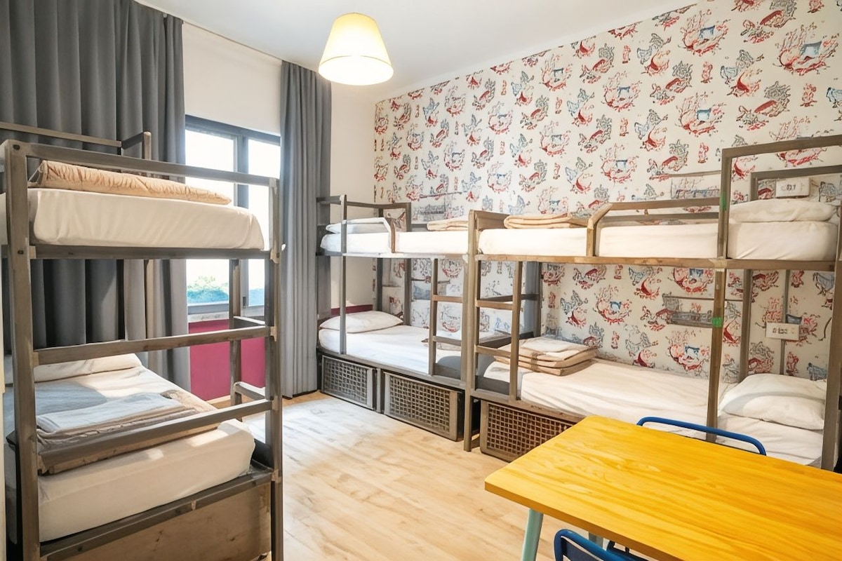 A dormitory room with bunk beds, a table, and a window with curtains.