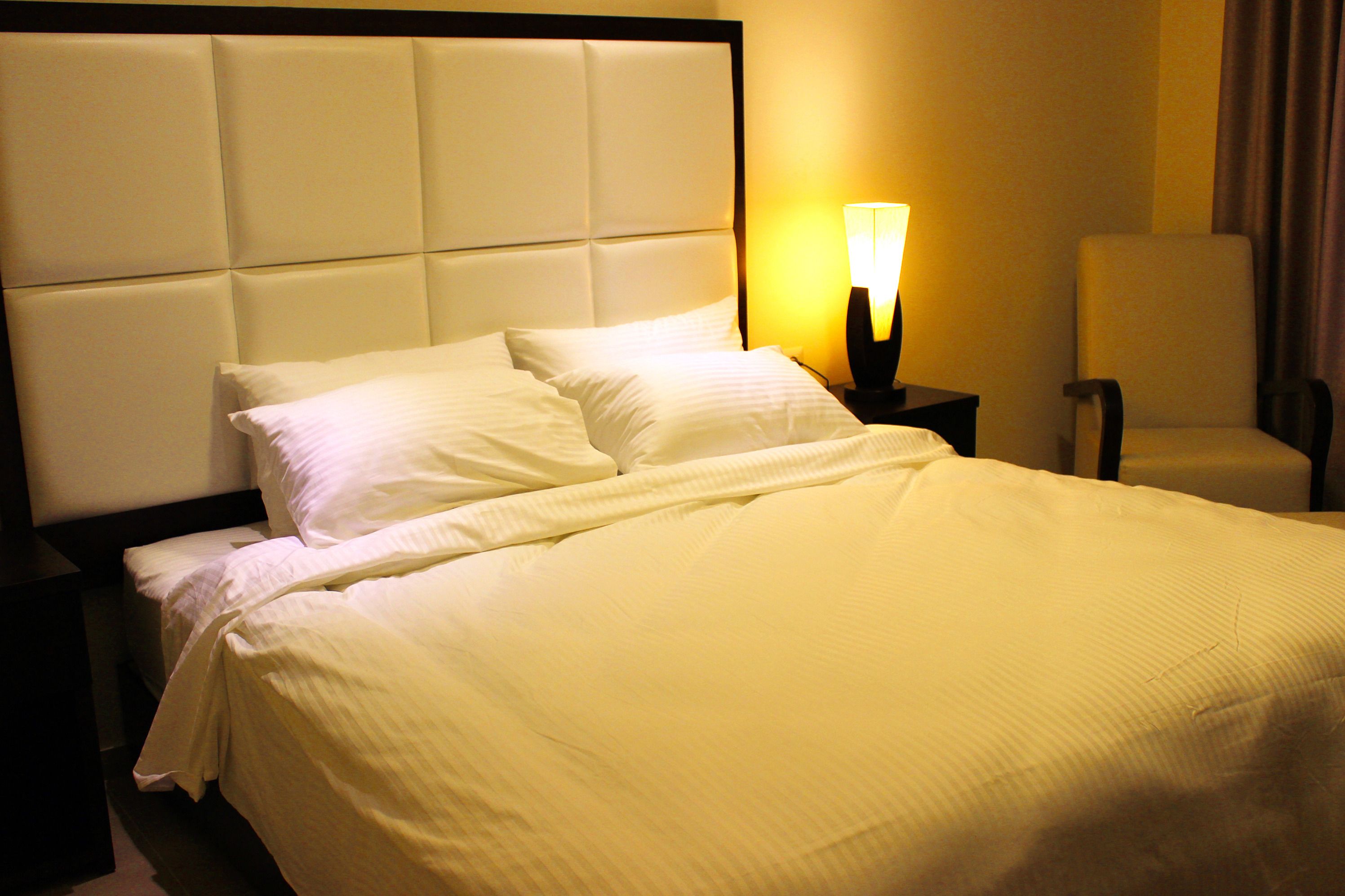 premium double room, 1 king bed with sofa bed | minibar, in-room safe, desk, blackout curtains