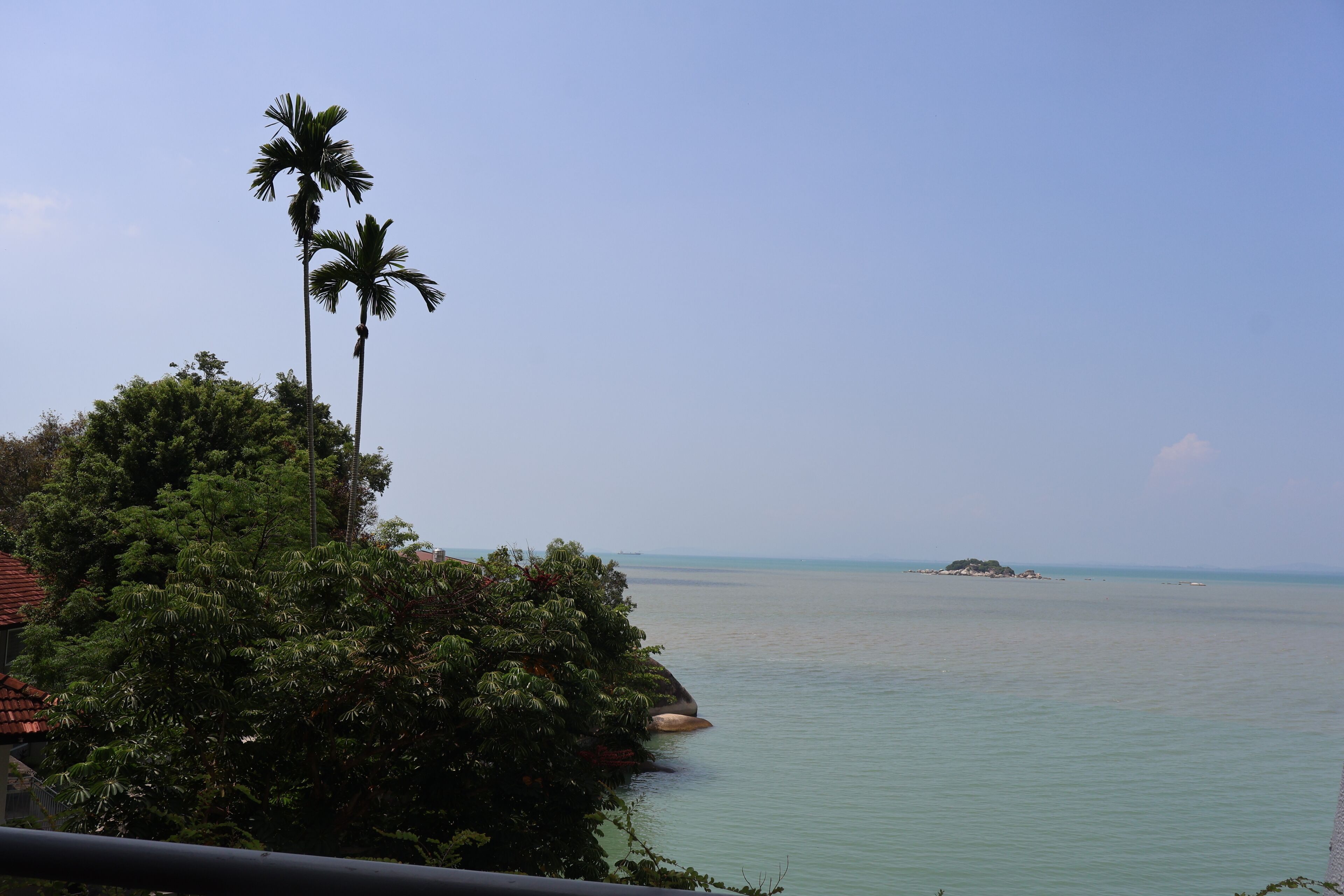 Une vue sur la côte, avec des palmiers et une île qui se dessine à l’horizon.