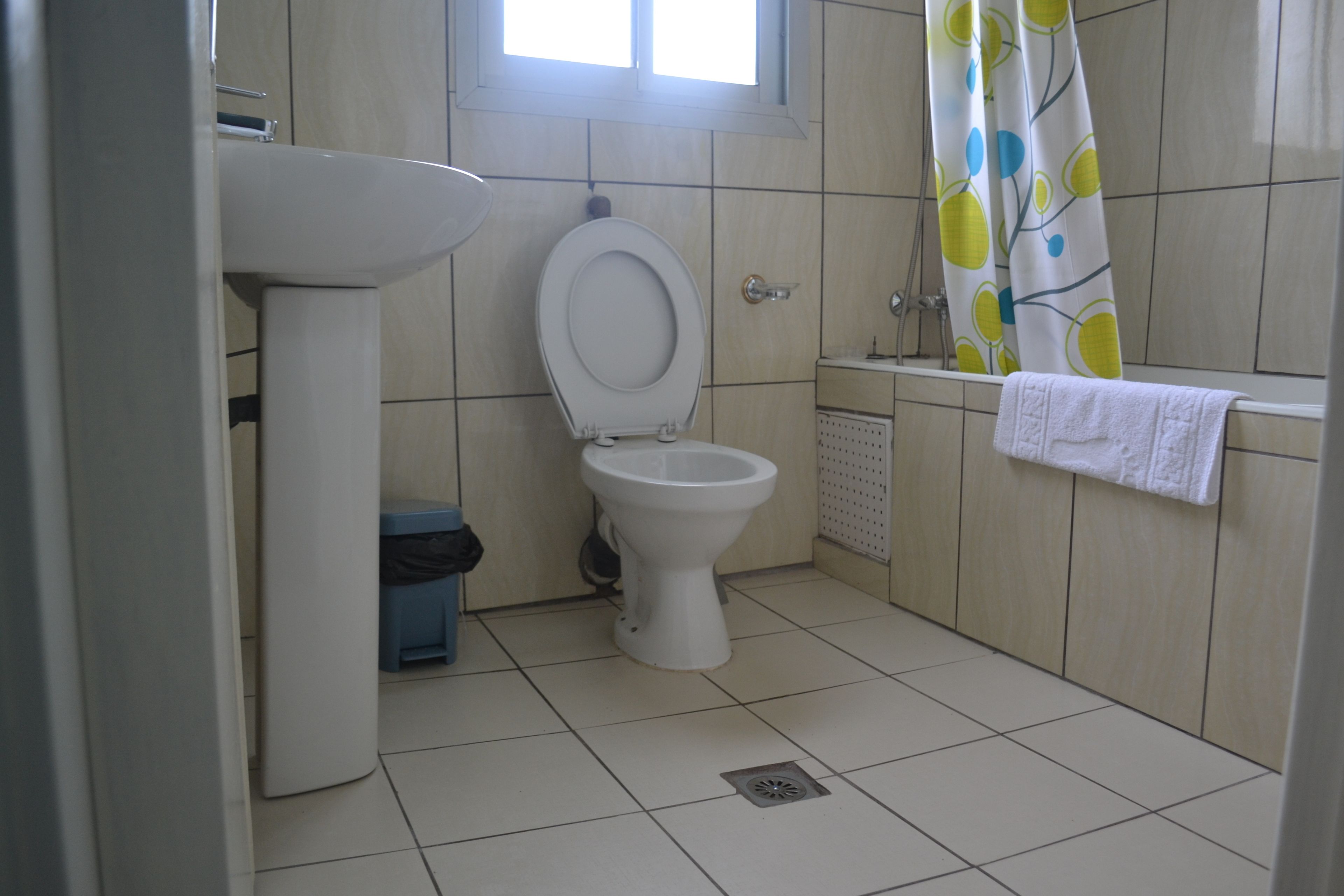 A bathroom with a toilet, sink, and shower curtain.