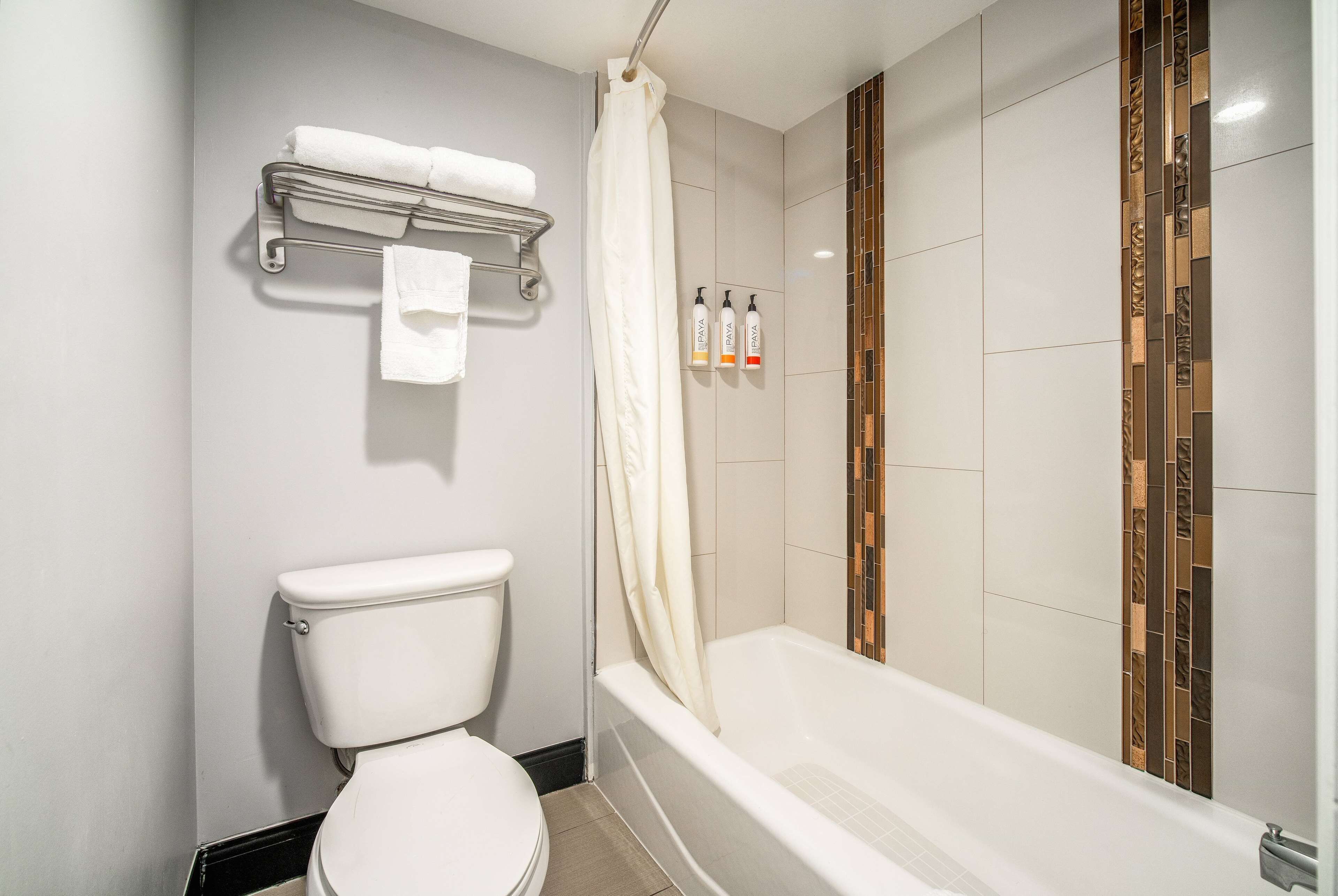Combined shower/tub, free toiletries, hair dryer (on request), towels
