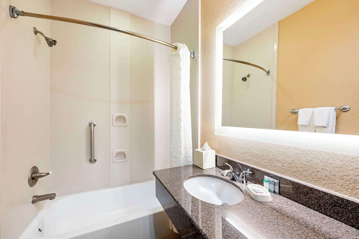 combined shower/bathtub, free toiletries, hair dryer, towels