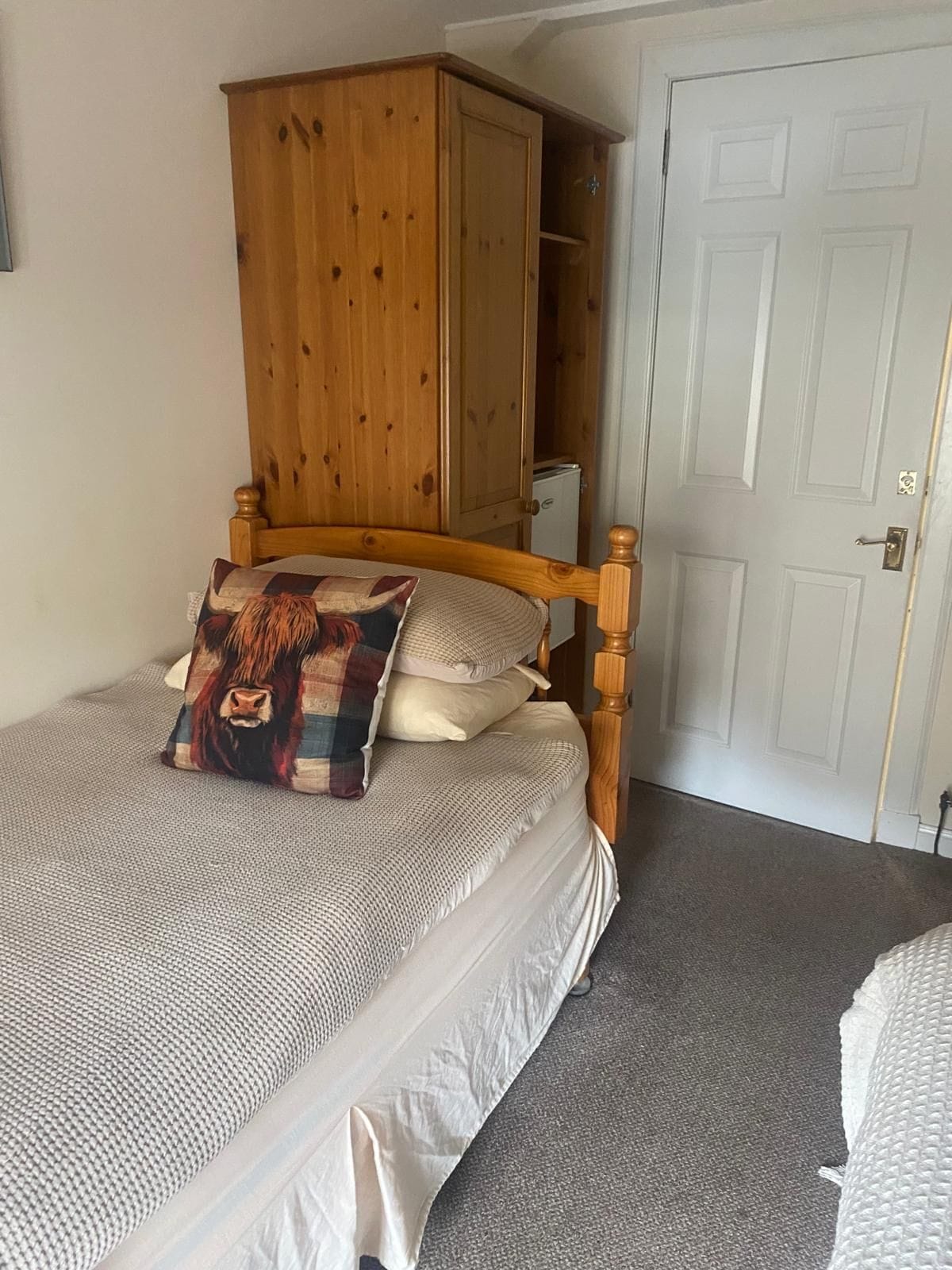 A bedroom with a wooden bed frame, a mattress, a pillow with a lion design, and a wardrobe.