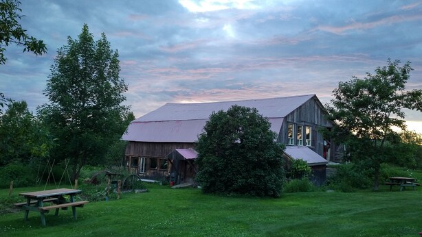 Une grange rustique, dotée d’un toit en pente, entourée d’une végétation luxuriante et d’arbres.