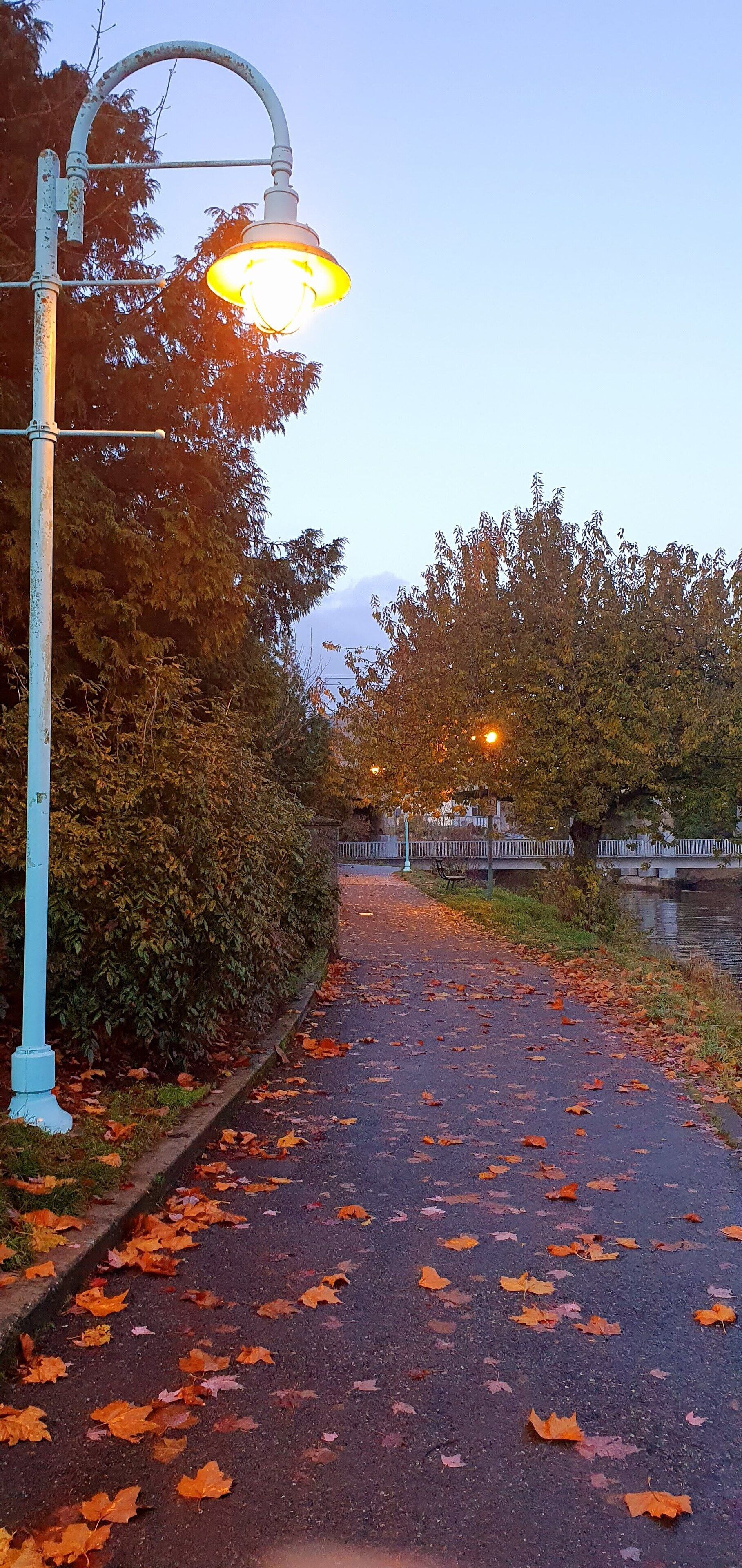 Un sentier bordé d’un lampadaire, d’arbres et sur lequel on aperçoit un pont au loin.