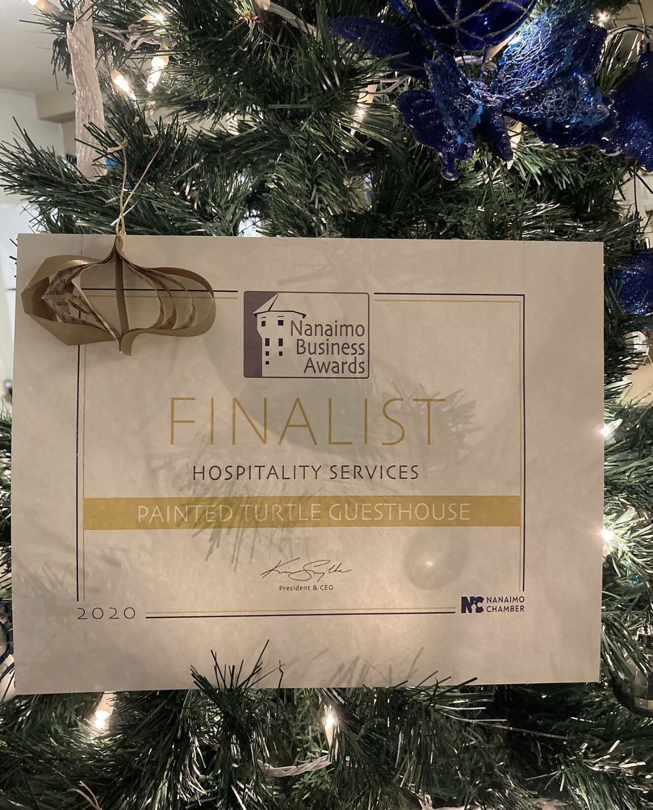 A certificate of finalist in hospitality services from the Nanaimo Business Awards 2020, displayed on a Christmas tree.