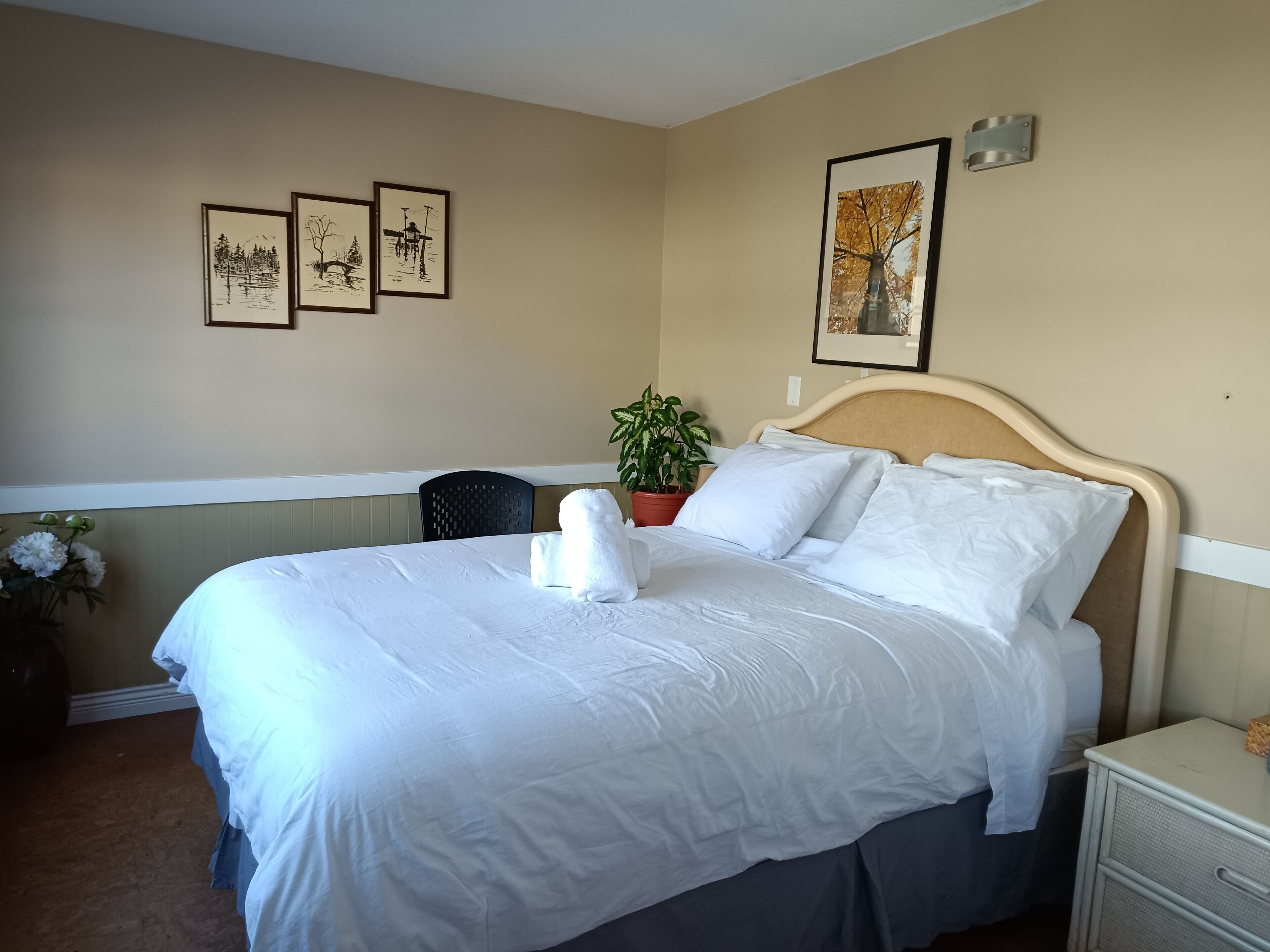 A neatly made bed with white linens, a headboard, and a bedside table with a lamp. There are three framed pictures on the wall and a potted plant beside the bed.