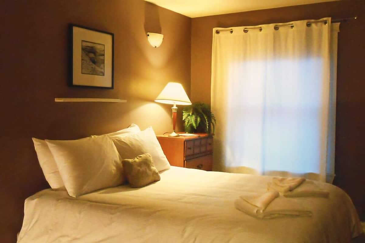 Una cama bien hecha con almohadas, una lámpara de noche, una planta pequeña y una ventana con cortinas.