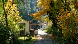 Un sendero estrecho que lleva a una casa pequeña con porche, rodeada de follaje y árboles frondosos.