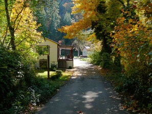Ropa de cama de alta calidad y tabla de planchar con plancha