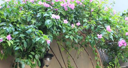 Entre Patios Hotel Boutique