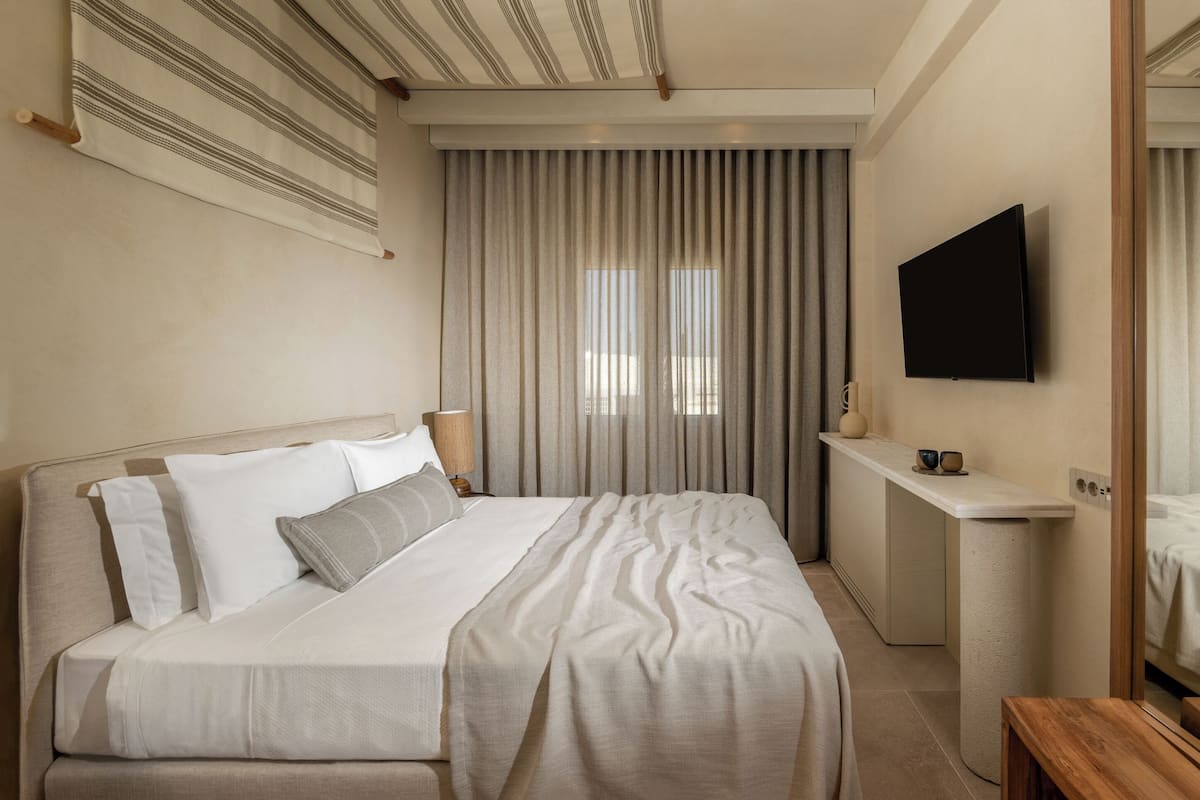 Classic Double | Minibar, in-room safe, soundproofing, iron/ironing board (on request)