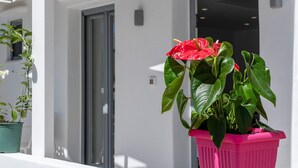 Interior - Marina Studios (Naxos)