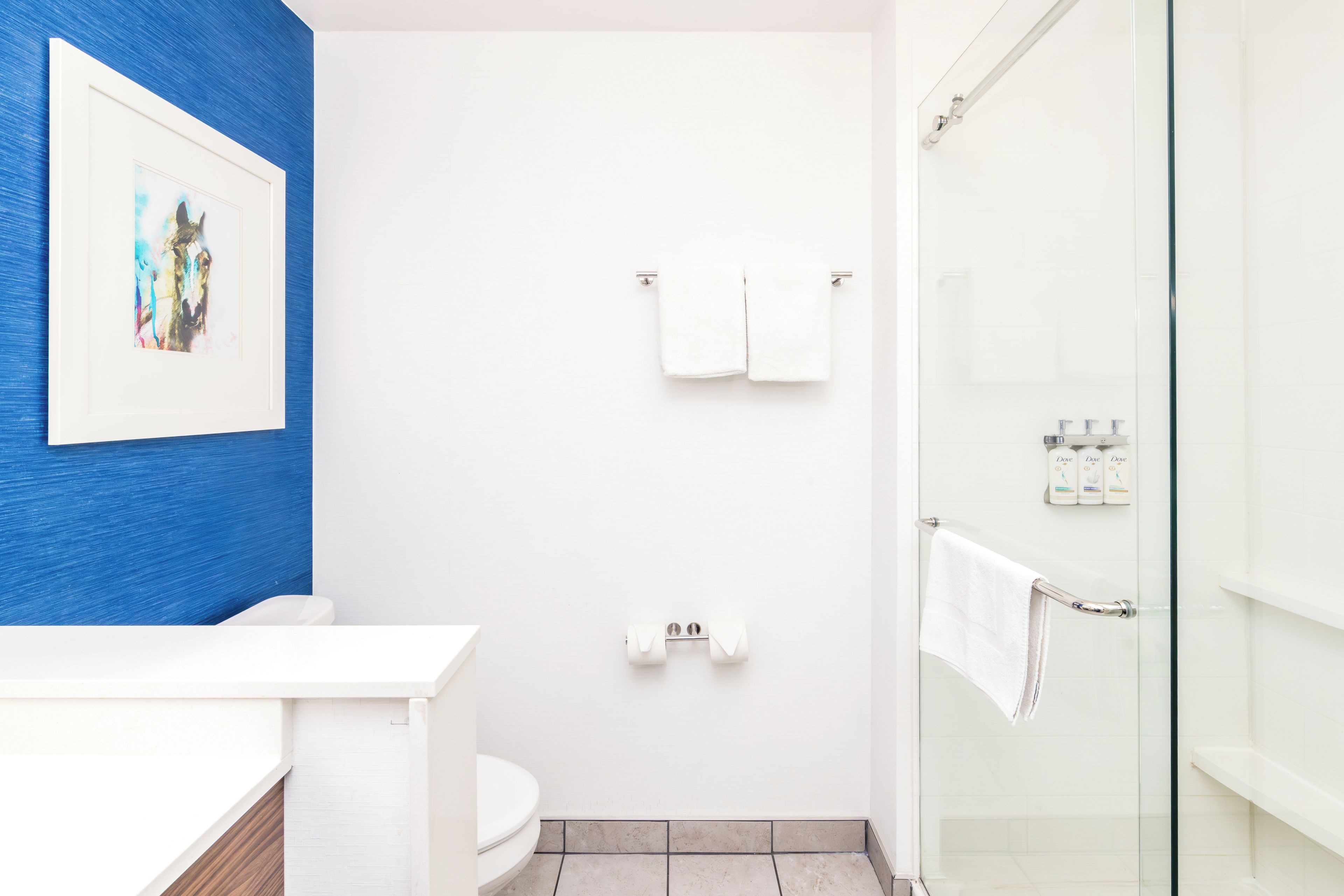 Un baño con inodoro blanco, cabina de ducha de vidrio y pared de acento azul.