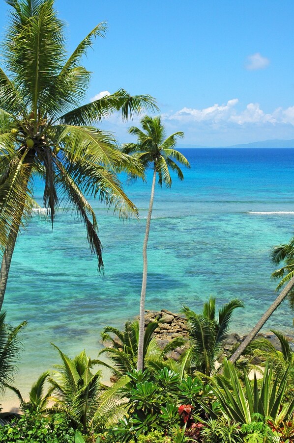 Une plage tropicale aux eaux turquoise et limpides, bordée de palmiers et d’une côte rocheuse.