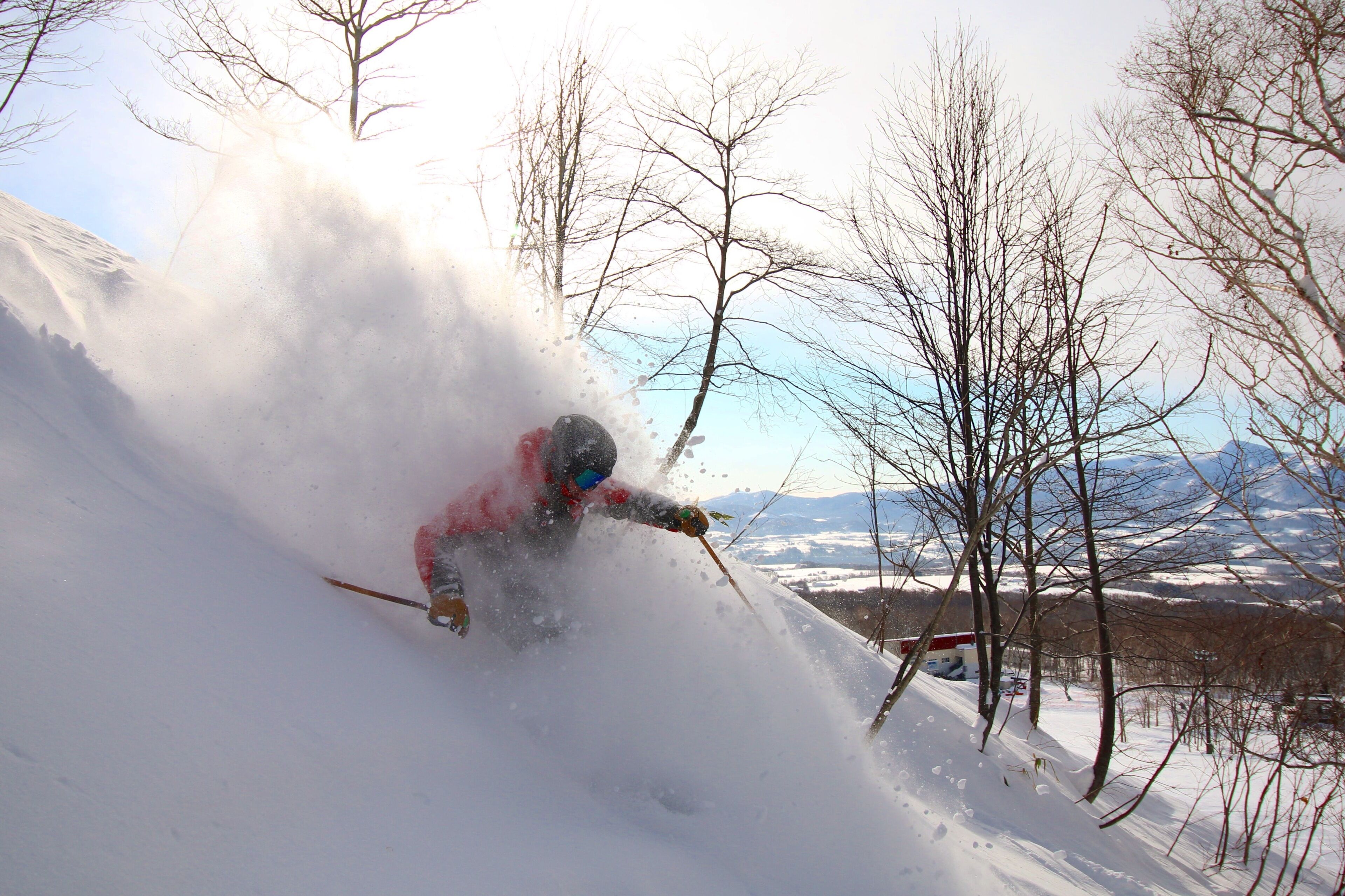 A snowy landscape with a skier in motion, trees, and a distant mountain range.