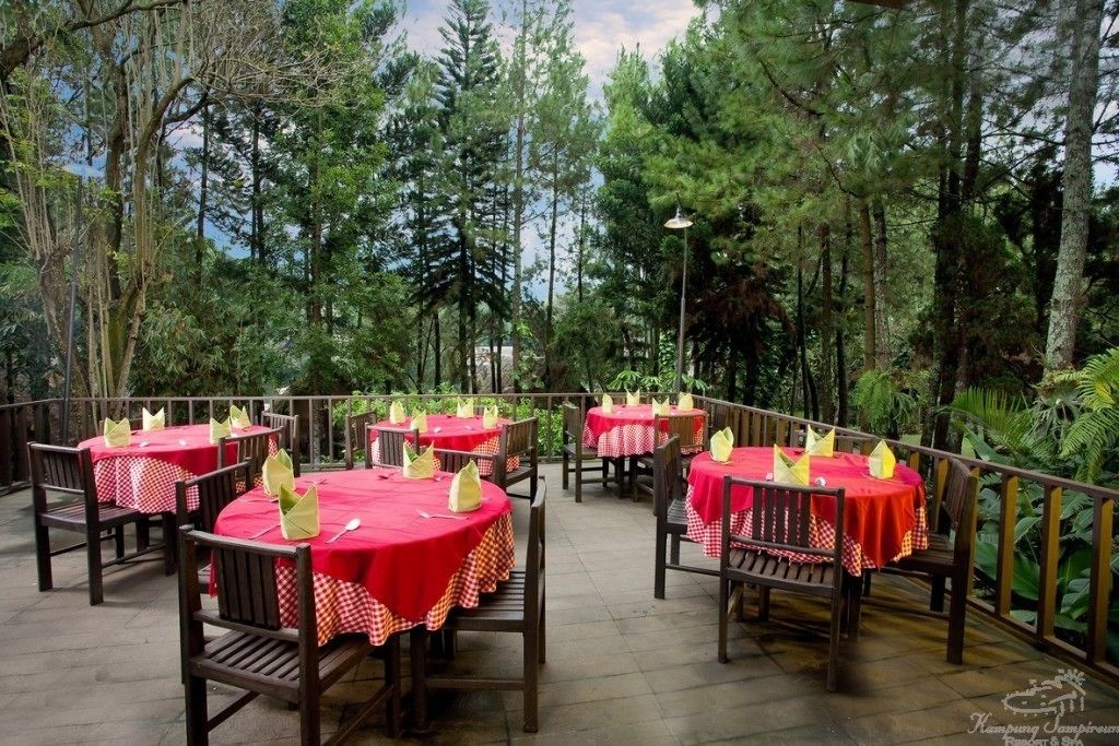 Un área de comedor al aire libre con mesas cubiertas de manteles rojos y sillas de madera, rodeada de árboles.