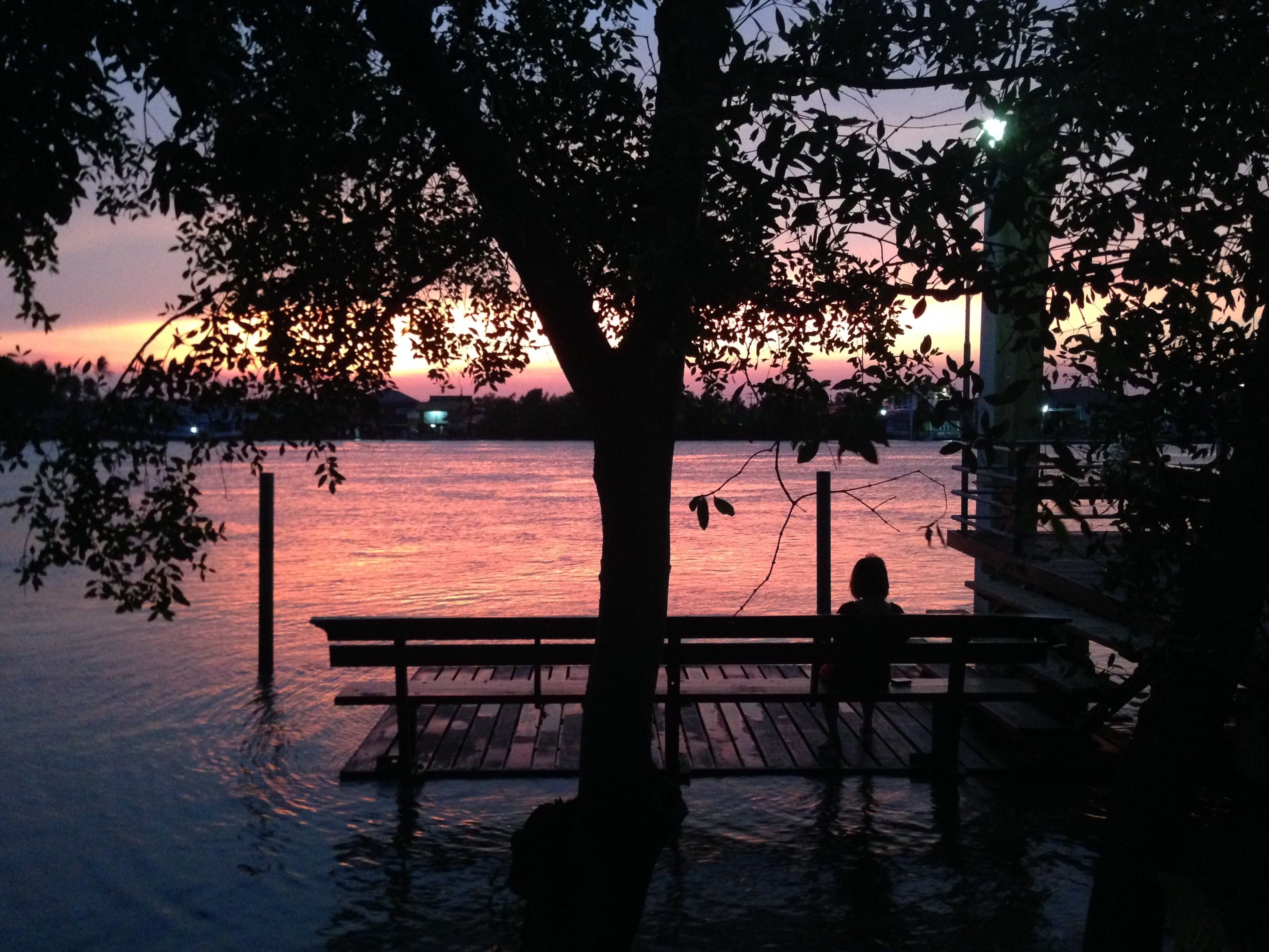 A sunset view from a dock with a bench, surrounded by trees.