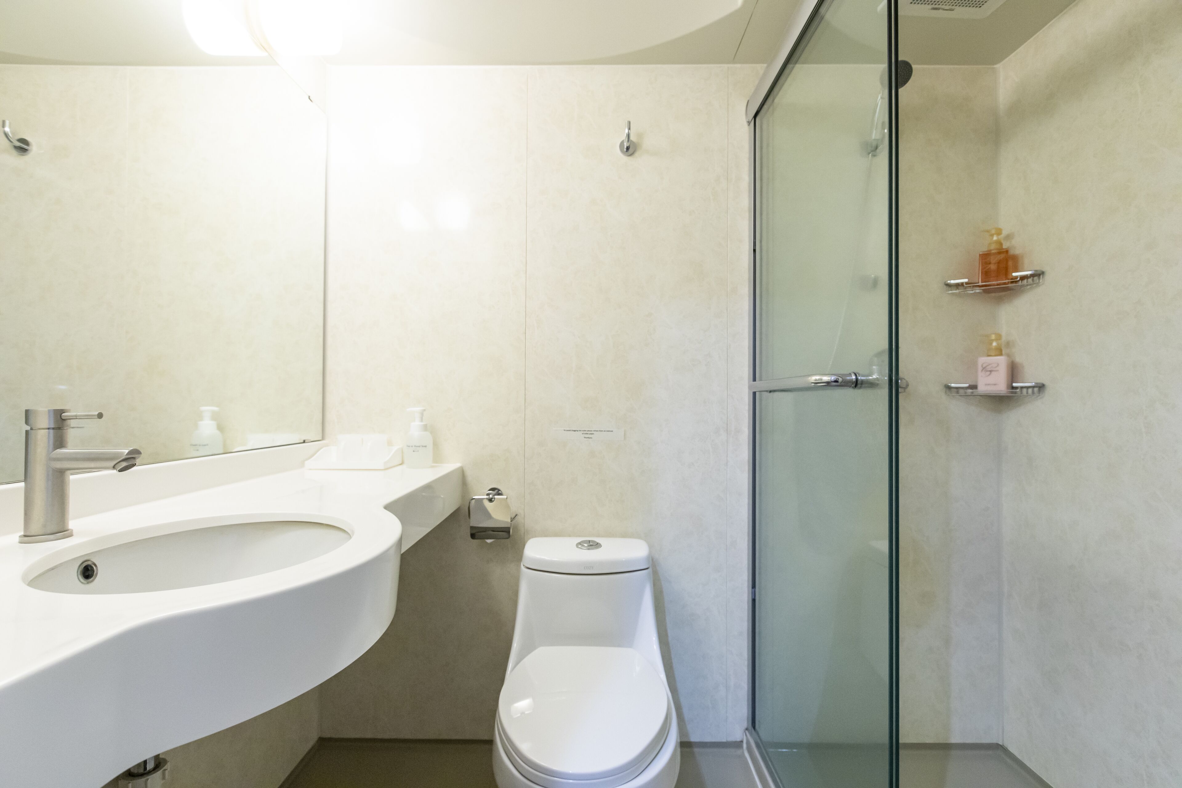 standard room, non smoking | 1 bedroom, desk, iron/ironing board, free wifi